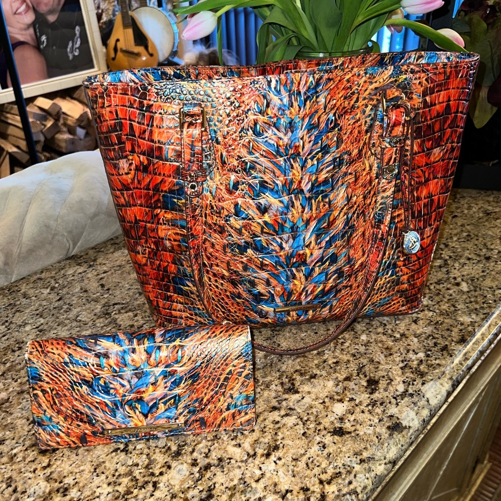 Rare Brahmin Multicolor Asher Tote with matching wallet